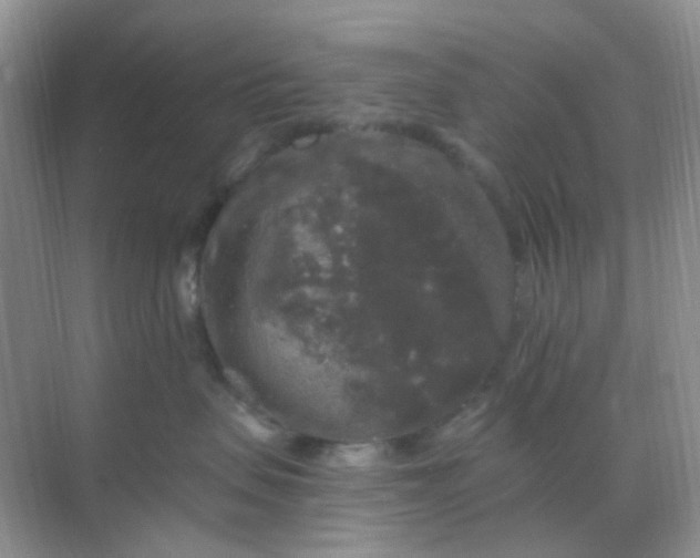 X0000068890479200605192140