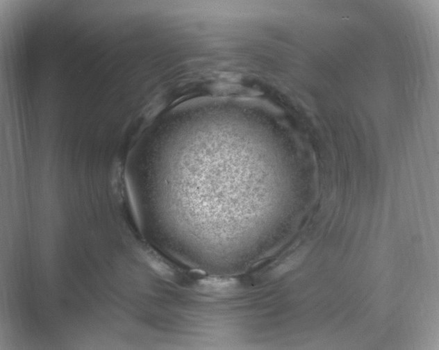 X0000068890480200605192140