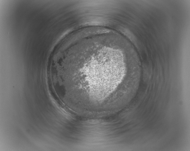 X0000068890482200605192139