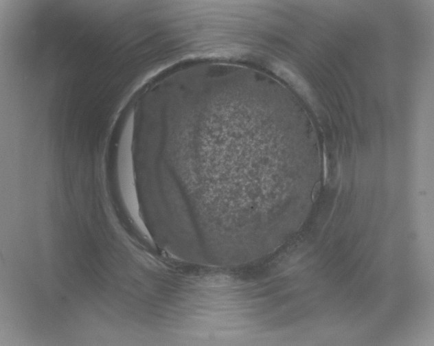 X0000068890483200605192139