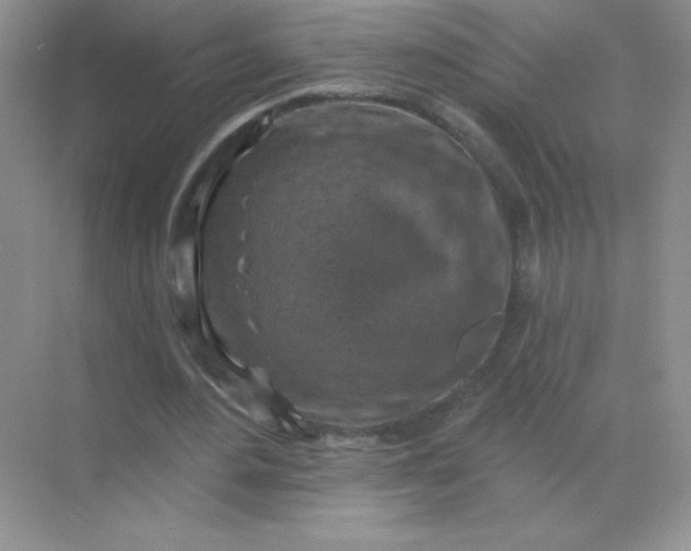 X0000068890484200605192139