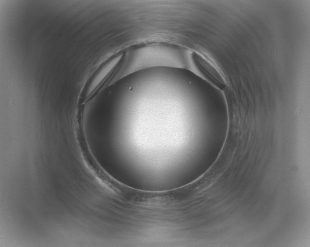 X0000068890485200605192139