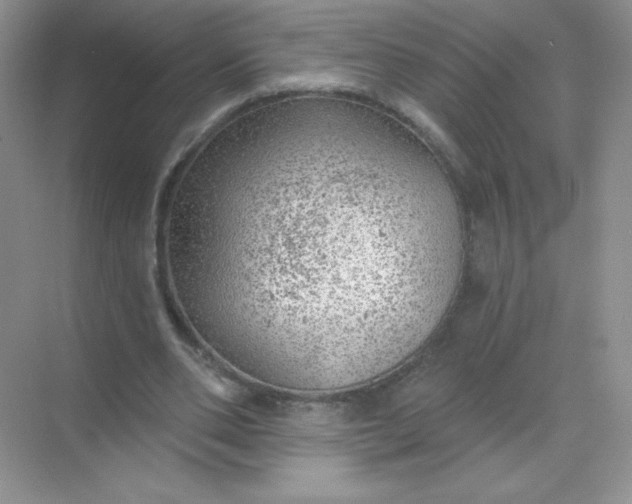 X0000068890486200605192139