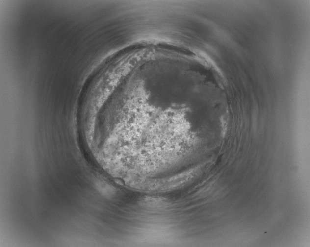 X0000068890487200605192139