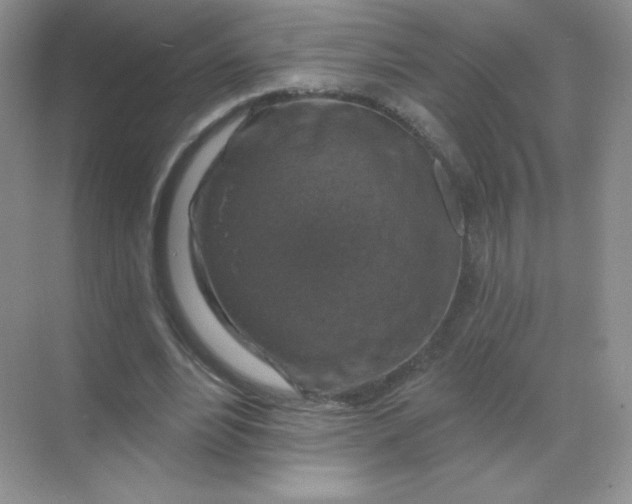 X0000068890488200605192139