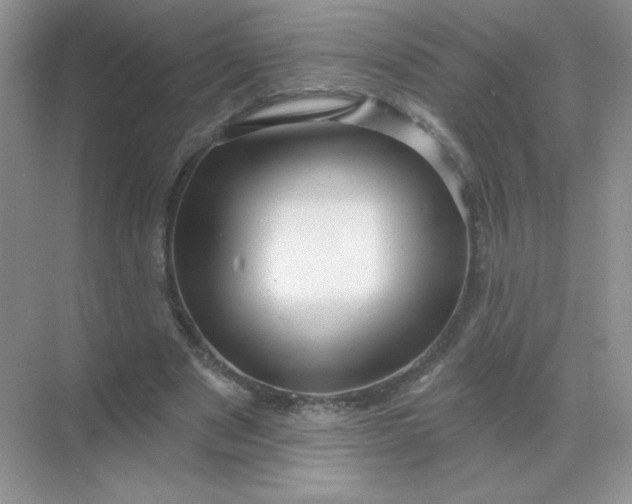 X0000068890489200605192139