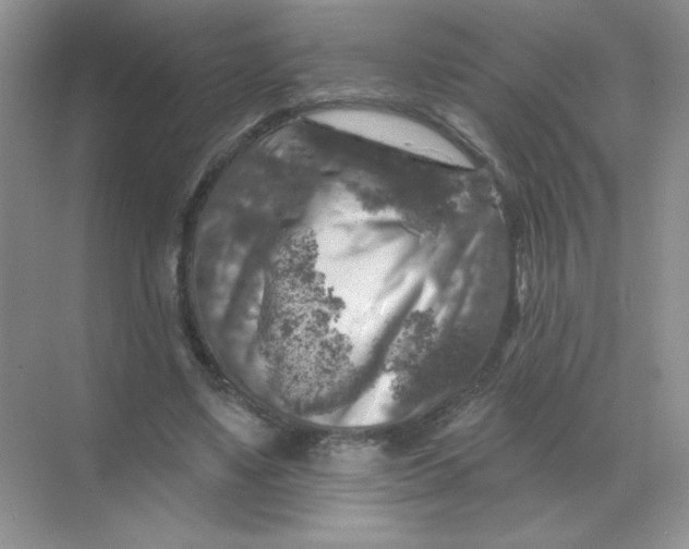 X0000068890491200605192139