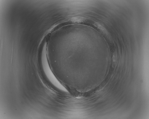 X0000068890492200605192139