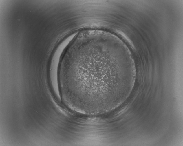 X0000068890493200605192139