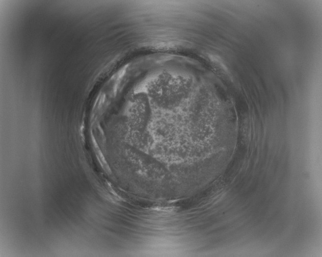 X0000068890495200605192139