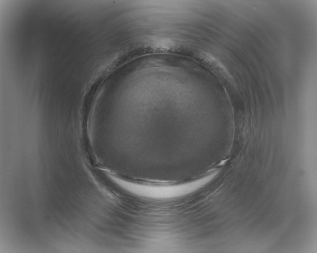 X0000068890496200605192139