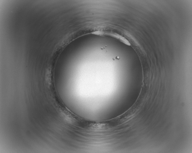 X0000068890497200605192139