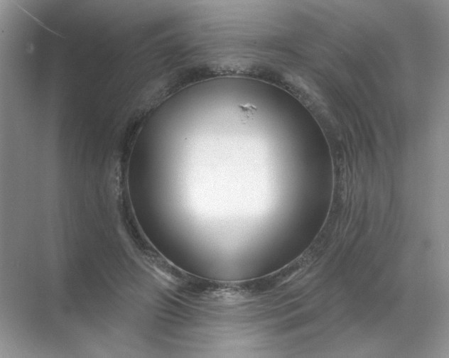 X0000068890498200605192139