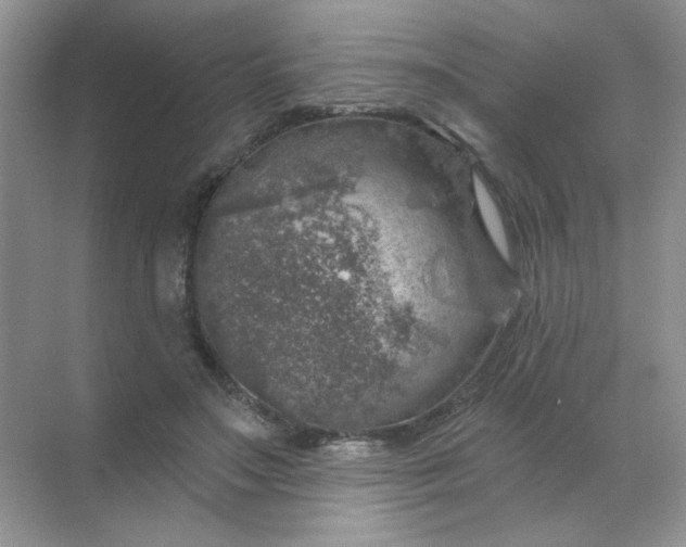 X0000068890499200605192139