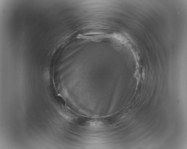 X0000068890500200605192138