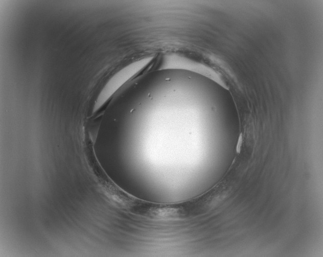 X0000068890501200605192138