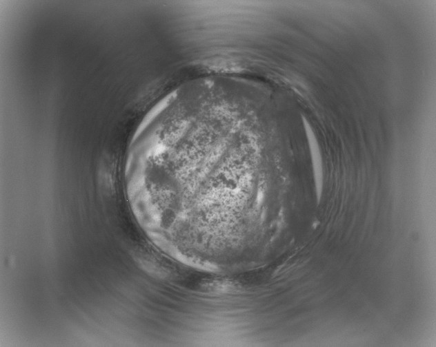 X0000068890503200605192138