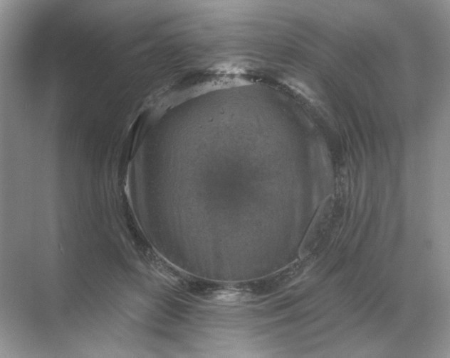 X0000068890504200605192138