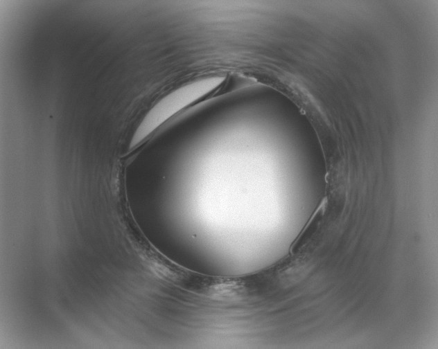 X0000068890505200605192138