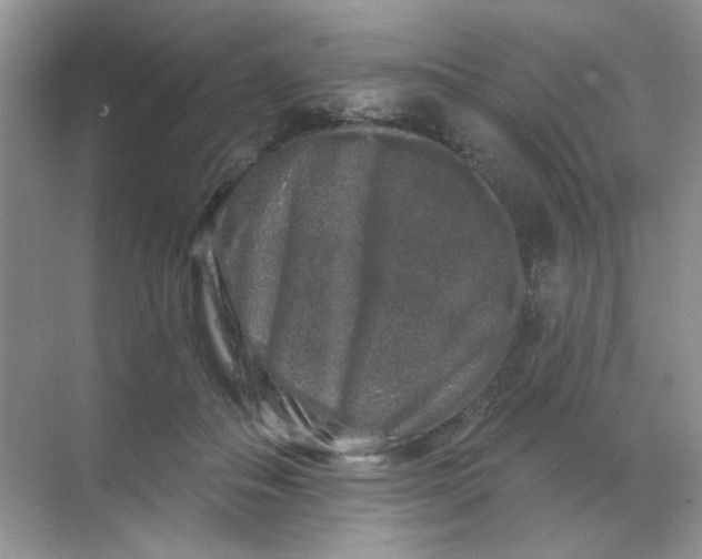 X0000068890506200605192138