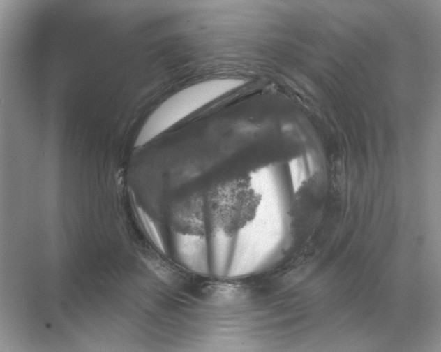 X0000068890507200605192138