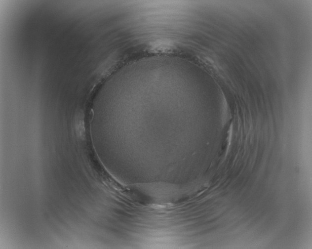 X0000068890508200605192138