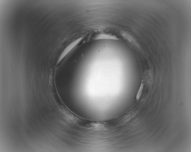 X0000068890509200605192138