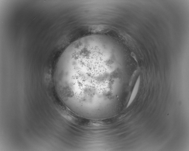 X0000068890510200605192138