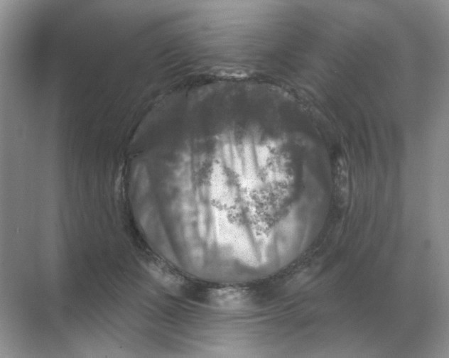 X0000068890511200605192138