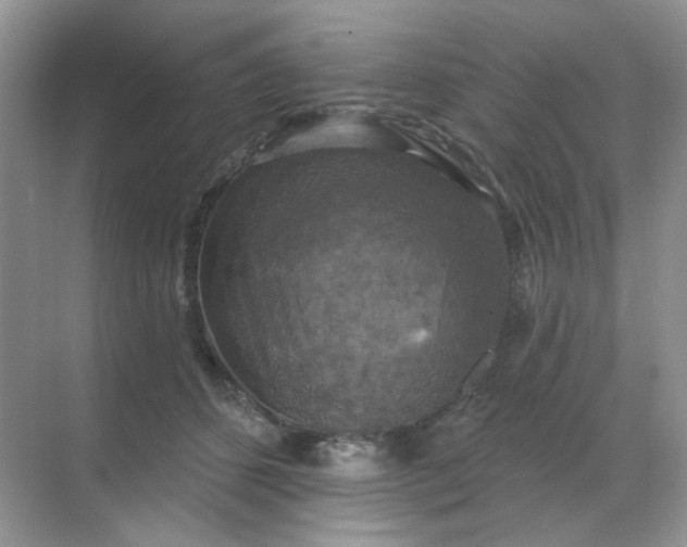 X0000068890512200605192138