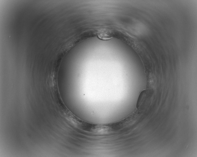 X0000068890514200605192138