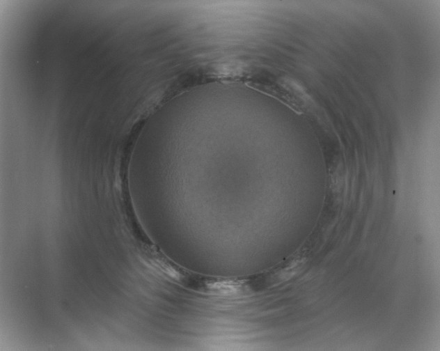 X0000068890516200605192138