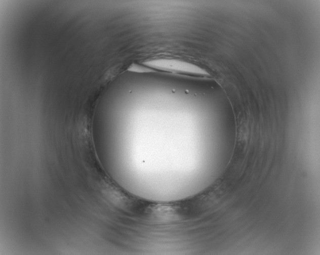 X0000068890518200605192138