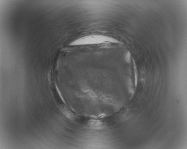 X0000068890519200605192138