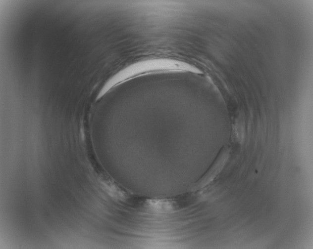 X0000068890520200605192138