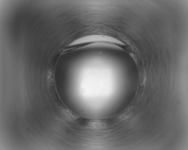 X0000068890521200605192138