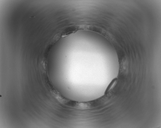 X0000068890522200605192138