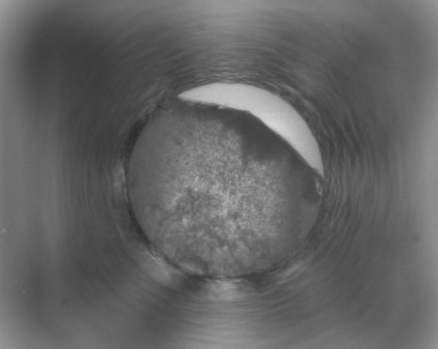 X0000068890523200605192138