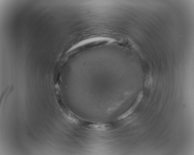 X0000068890524200605192138