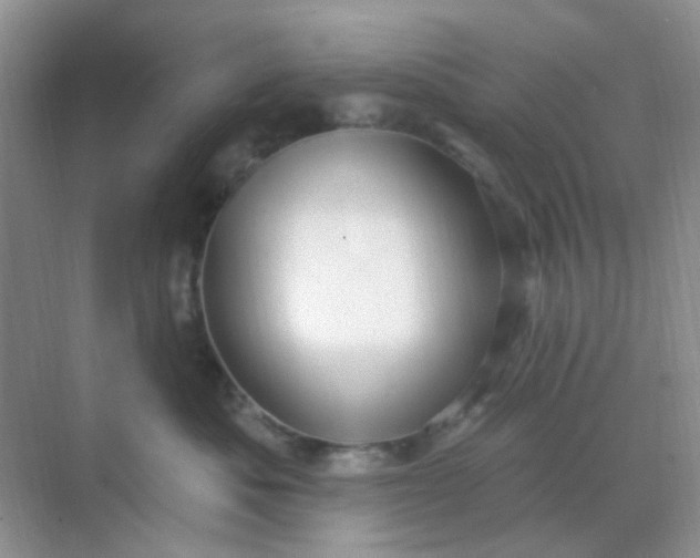 X0000068890525200605192138