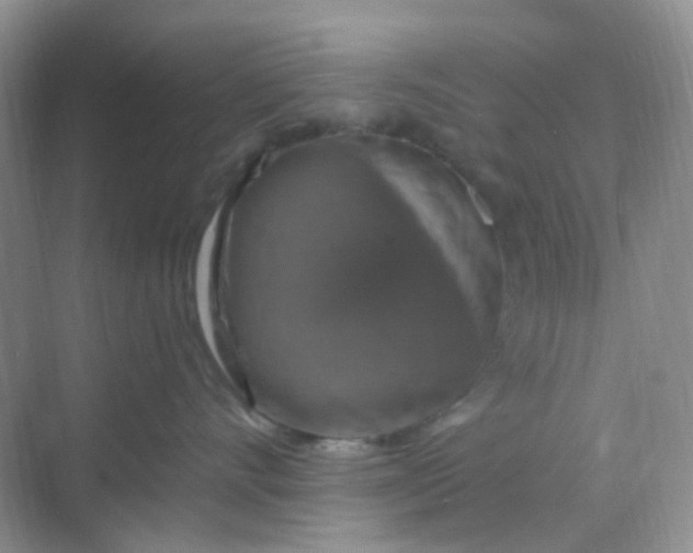 X0000068890528200605192138