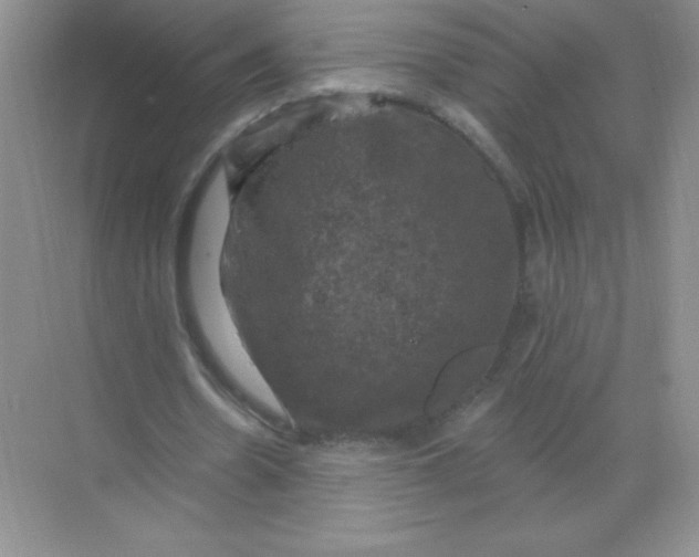 X0000068890530200605192137