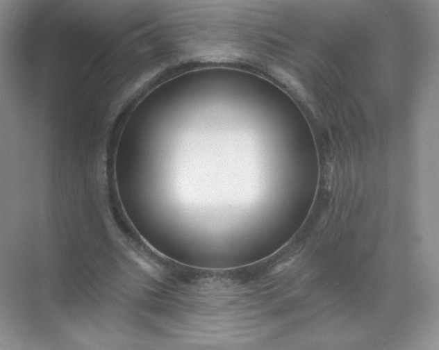 X0000068890535200605192137