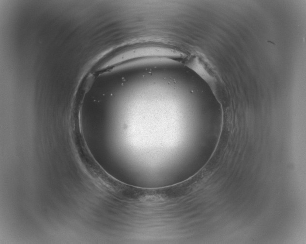 X0000068890536200605192137