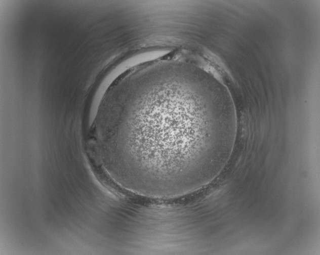 X0000068890538200605192137