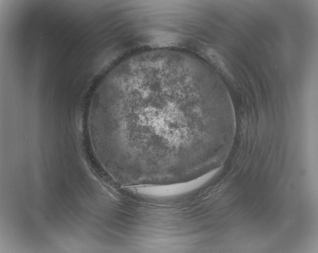 X0000068890539200605192137