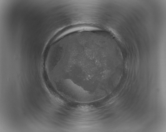 X0000068890540200605192137