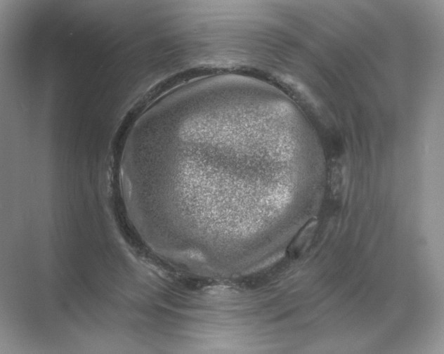 X0000068890544200605192137