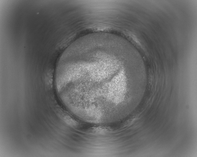 X0000068890545200605192137