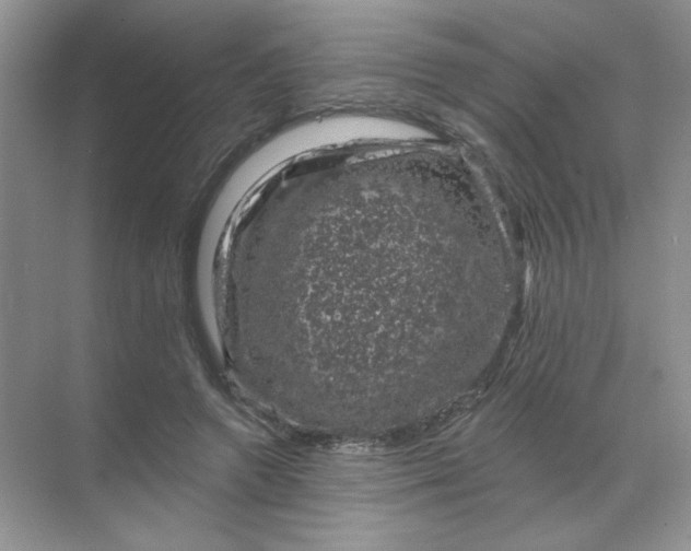 X0000068890546200605192138